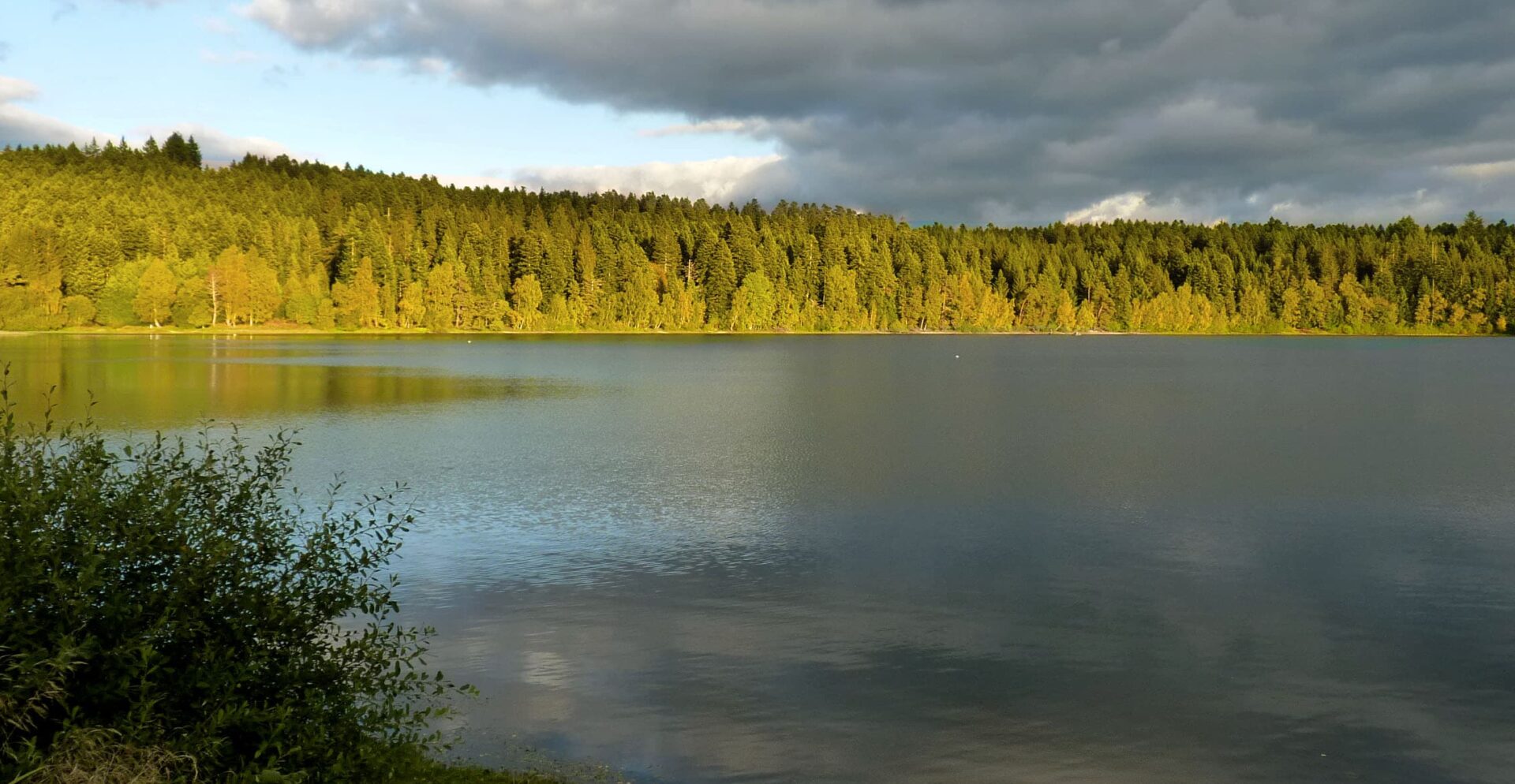 Réserve Naturelle Régionale du Lac de Malaguet