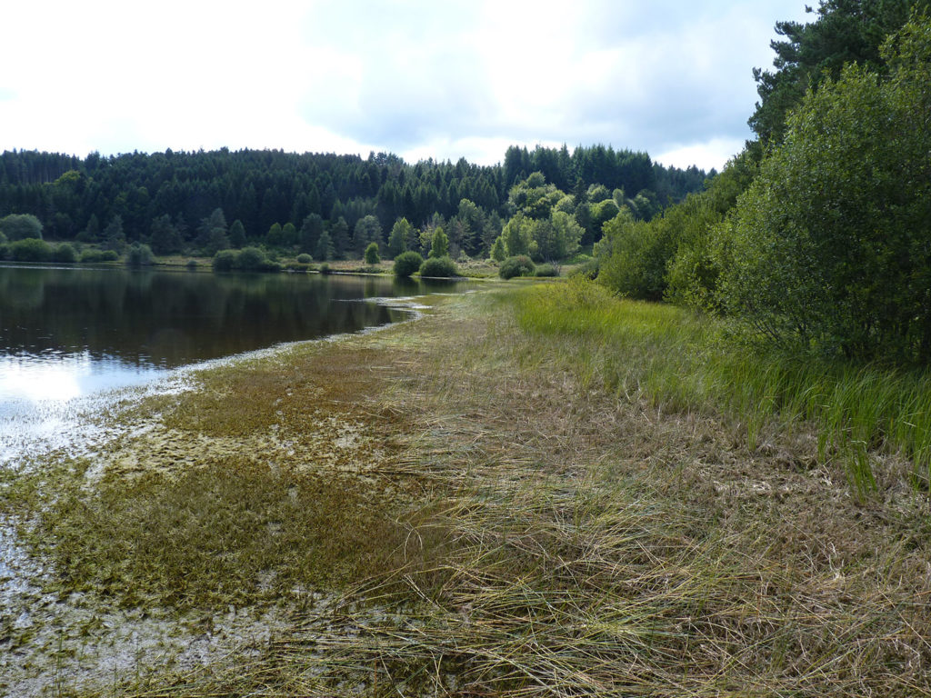 Basses eaux au lac de Malaguet