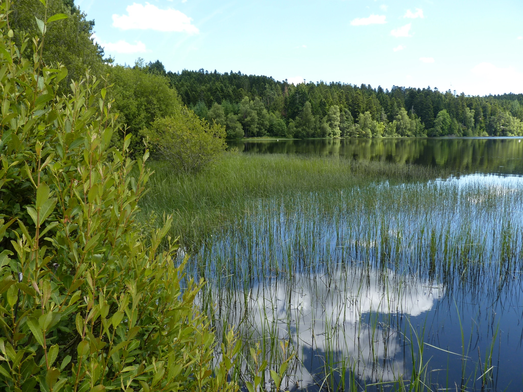 Fond du lac du Lac de Malaguet