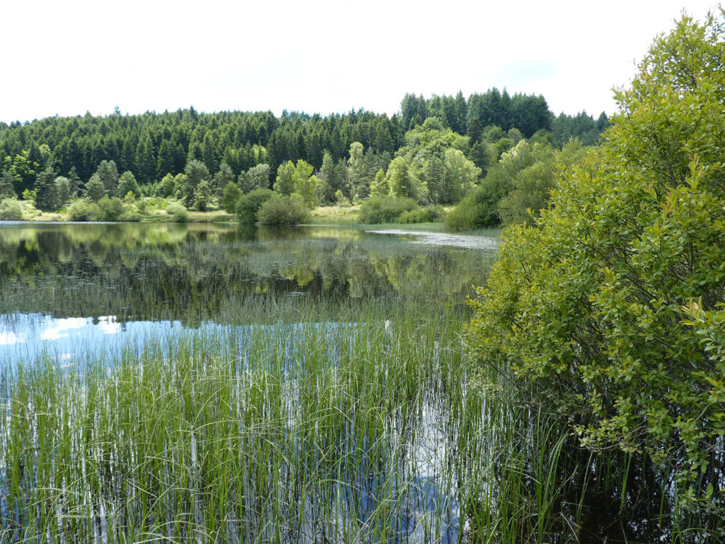 Hautes eaux au lac de Malaguet