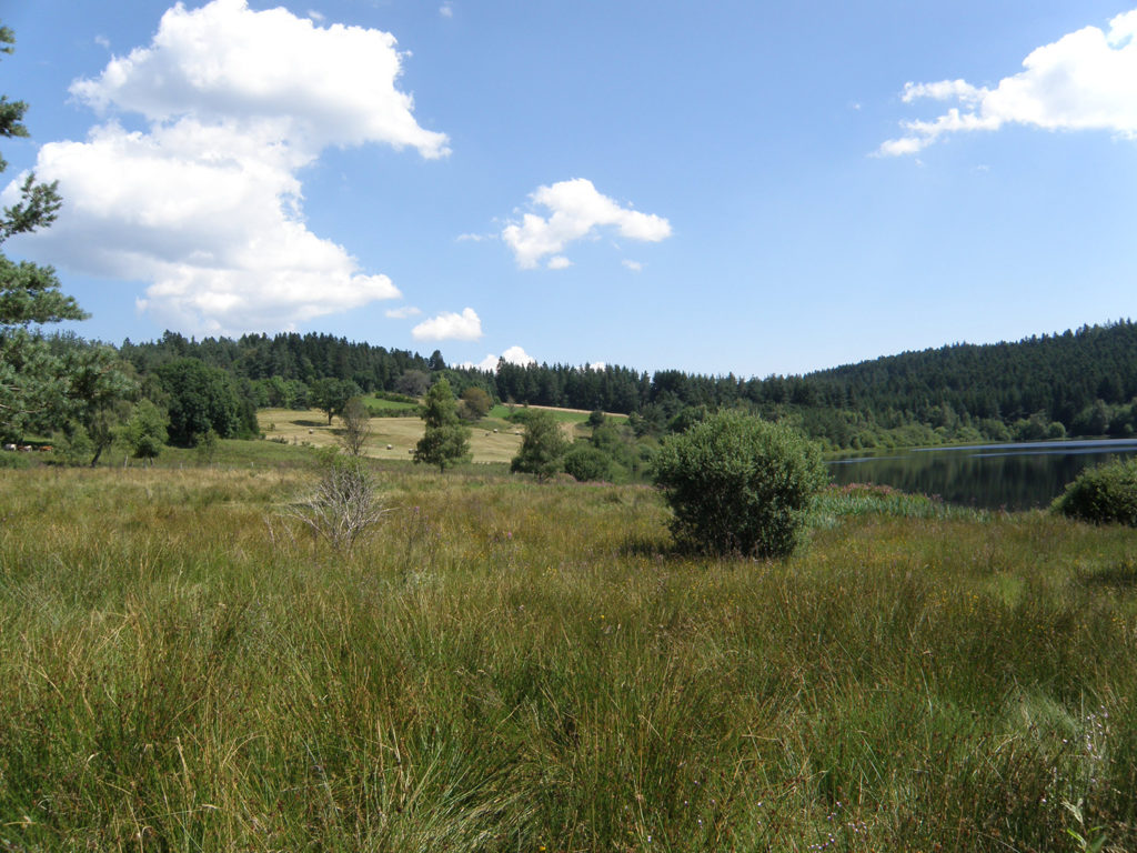 Abords du lac de Malaguet