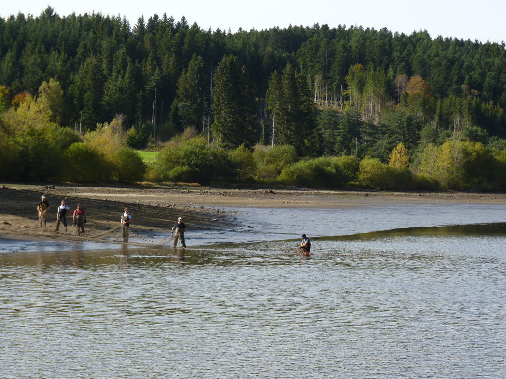 Vidange du lac de Malaguet tous les 4 ans