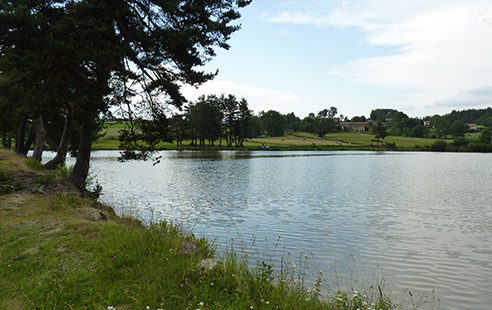 Etang de Vacheresse - RNR de Malaguet