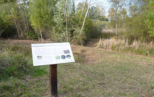 Tourbière de Moissac-Bas - RNR lac de Malaguet