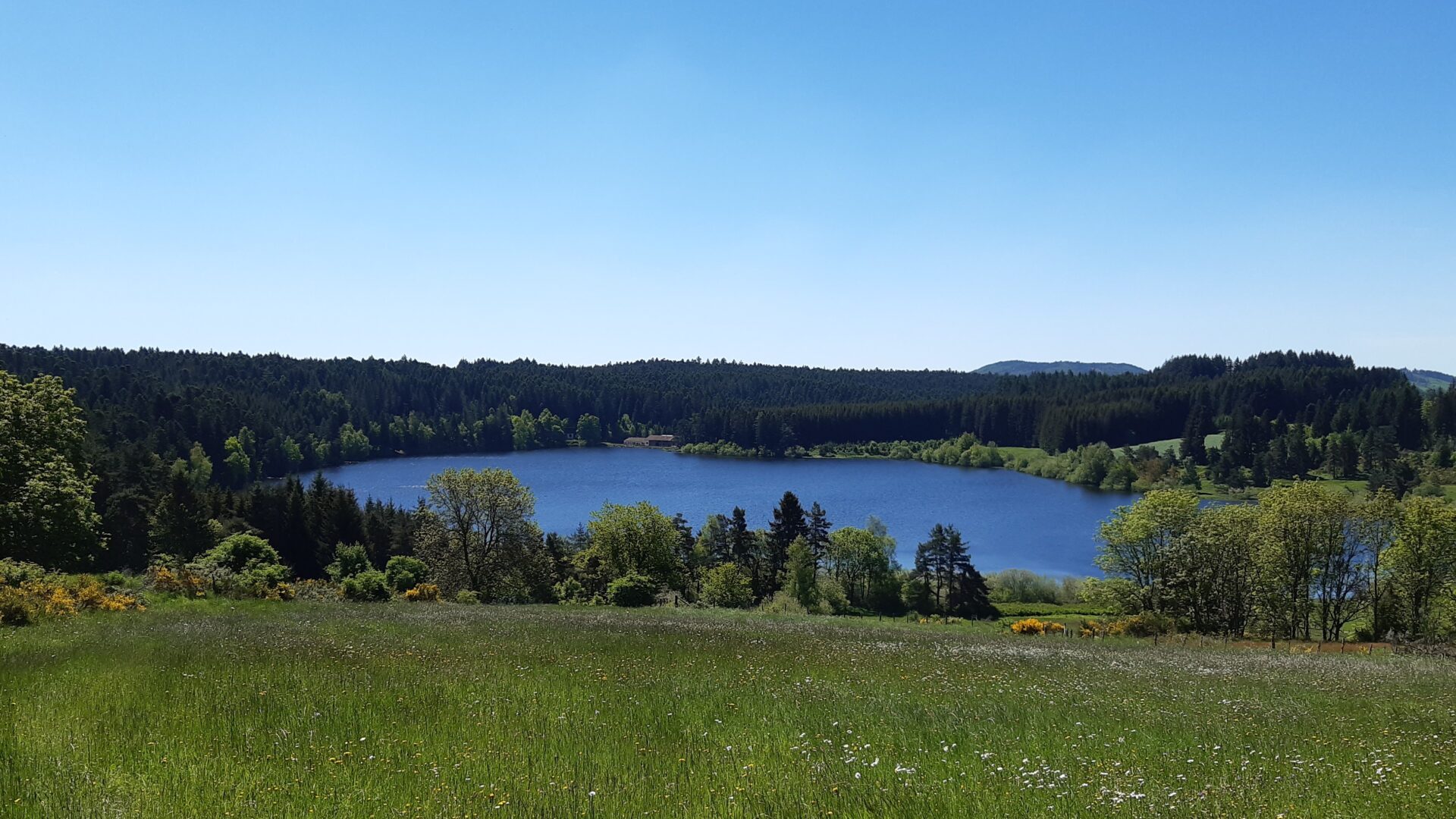 Vue sur le Lac de Malaguet depuis les prairies fleuries au nord.